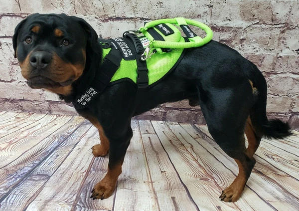 Spacer Mesh Service Dog Cushion Comfort Harness Vest - Image 18