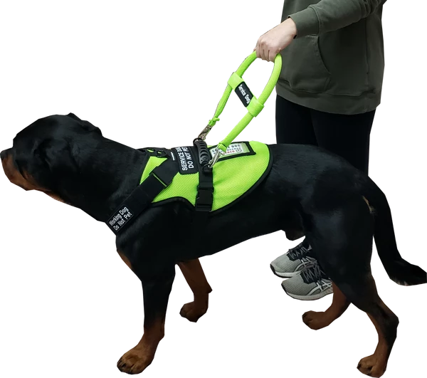 Spacer Mesh Service Dog Cushion Comfort Harness Vest - Image 2