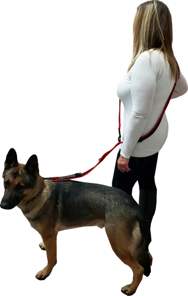 Spacer Mesh Service Dog Hands Free Leash - Image 4