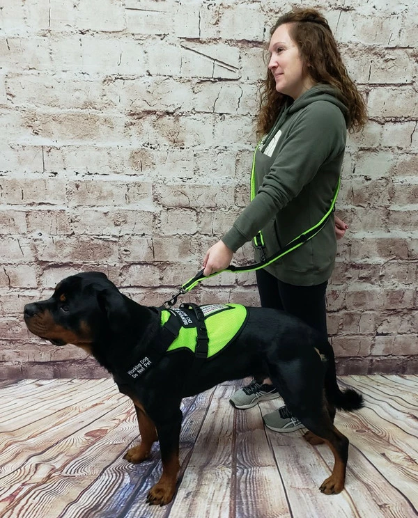 Spacer Mesh Service Dog Hands Free Leash - Image 7