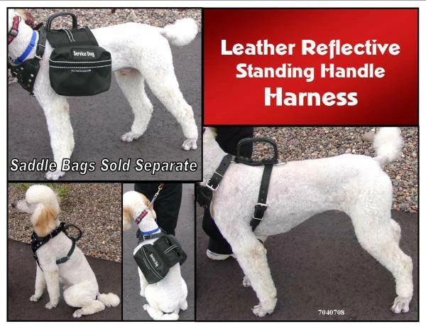 Leather Reflective Standing Handle Harness - Image 4