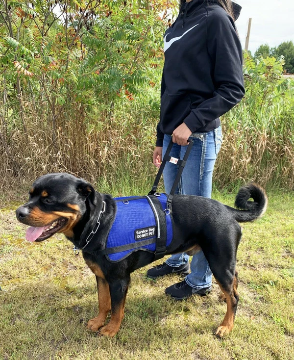 Rigid Clip-On Service Dog Bridge Handle W/Chrome Service Dog ID Band - 12" - Image 7