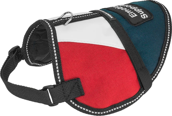 Patriotic Small Dog Vest - Image 2