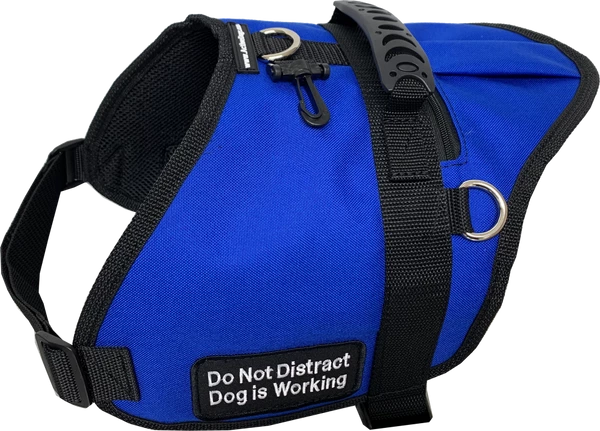 Padded Harness Vest With Zippered Pocket - Image 2