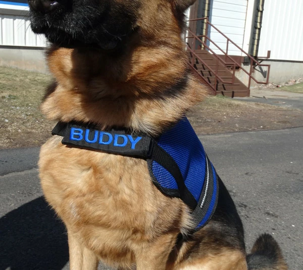 Custom Text Leash Wrap & Chest Strap Cover - Image 2