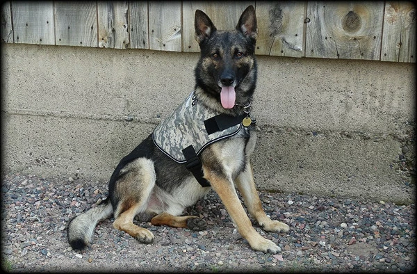 Service Dog Custom Do Not Distract Jacket/Vest - Image 5