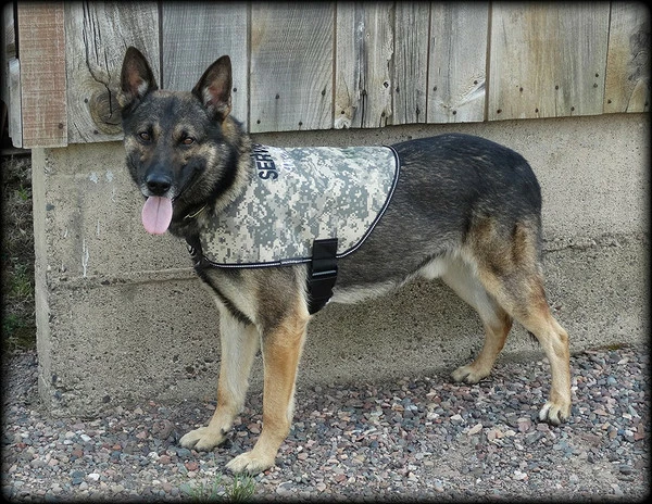 Service Dog Custom Do Not Distract Jacket/Vest - Image 7