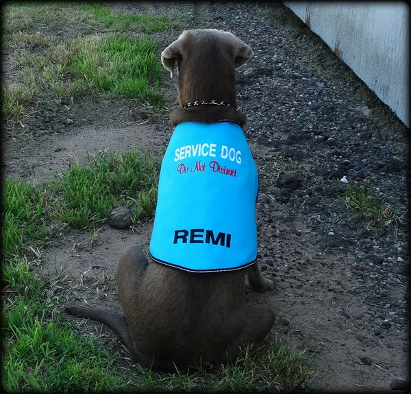 Service Dog Custom Do Not Distract Jacket/Vest - Image 4