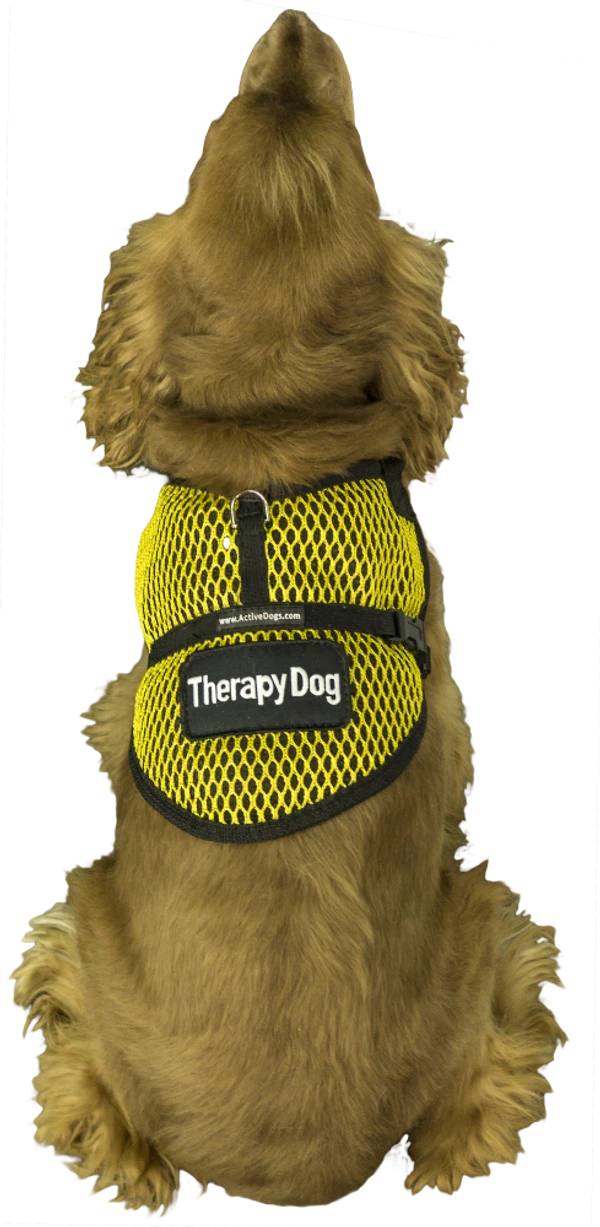 Mesh Service Dog Vest - Sm/Med Dog - Image 8