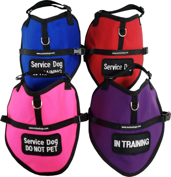 Padded Service Dog Vest - Sm/Med Dog - Image 6