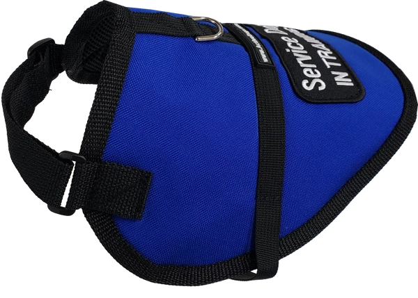 Padded Service Dog Vest - Sm/Med Dog - Image 5