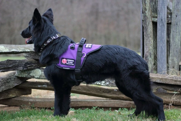 Padded Harness Service Dog Vest - Image 19