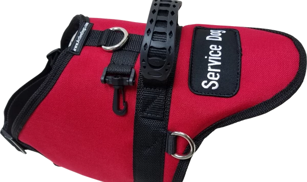 Padded Harness Service Dog Vest - Image 5