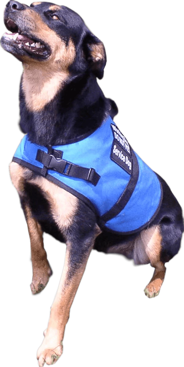 Two-Part Service Dog Backpack Harness Vest - Image 3