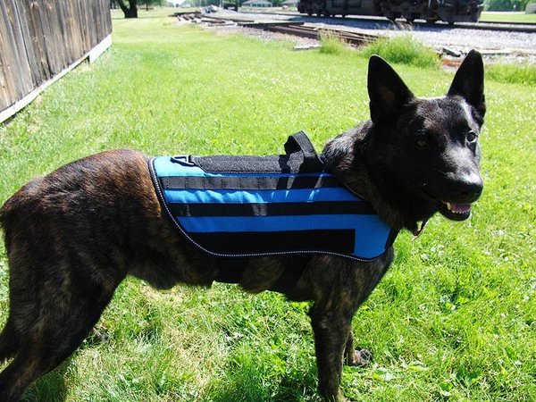 Carry-All MOLLE Pack Vest - Image 2