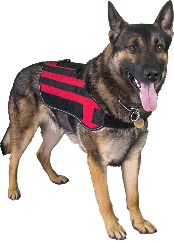 Carry-All MOLLE Pack Vest - Image 4