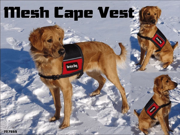 Service Dog Mesh Cape Vest W/ Clear Vinyl Pocket - Image 6