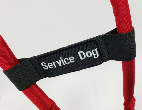 Premium Service Dog Starter Kit - Image 10