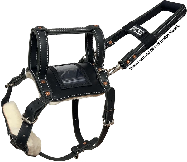 Leather Heavy Duty Mobility Harness - Image 8