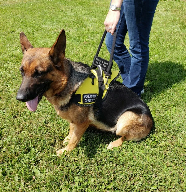 Bridge Handle Hook & Loop ID Band W/ Patch - Image 2