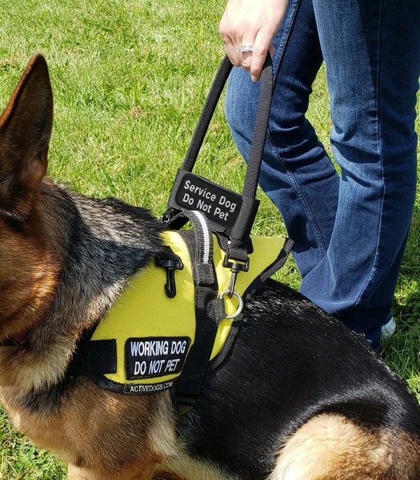 Bridge Handle Hook & Loop ID Band W/ Patch - Image 4