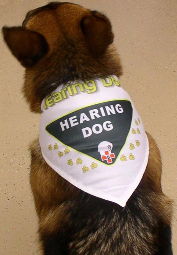 Working Dog Bandana - Image 7