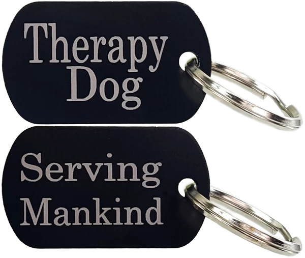 Premium Small Therapy Dog Starter Kit - Image 6