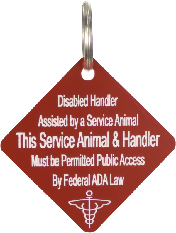 Disabled Handler With Service Dog Tag - Image 7