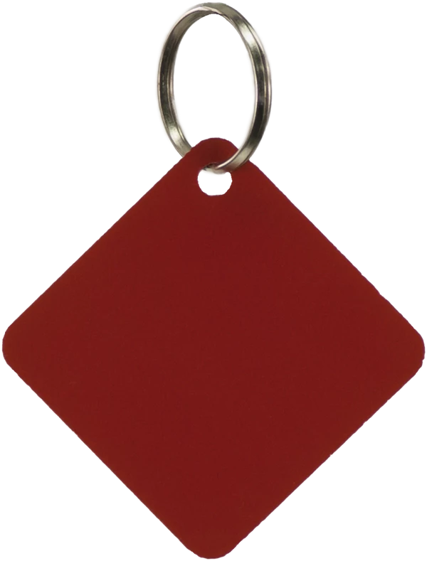 Disabled Handler With Service Dog Tag - Image 8