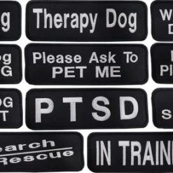 Embroidered Patch 2x6