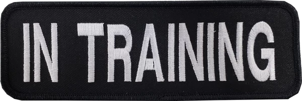 Embroidered Patch 2x6 - Image 12