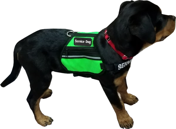 Butterfly Cape Service Dog Vest With Pockets - Image 11