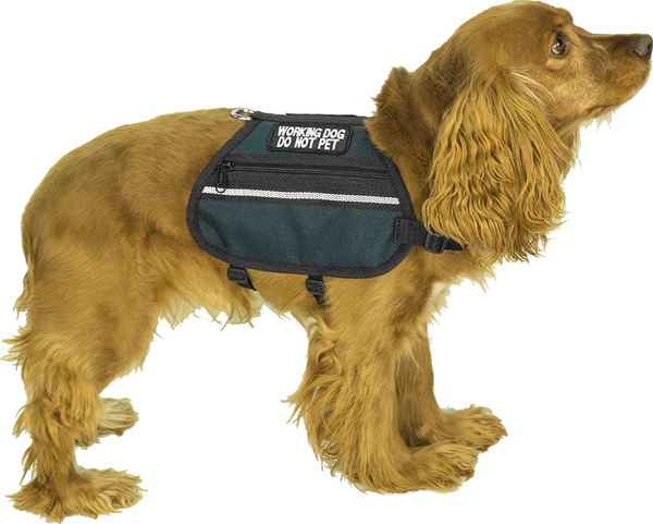 Butterfly Cape Service Dog Vest With Pockets - Image 8