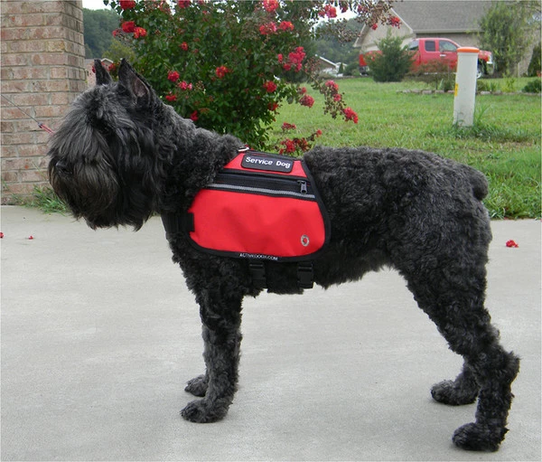 Butterfly Cape Service Dog Vest With Pockets - Image 7