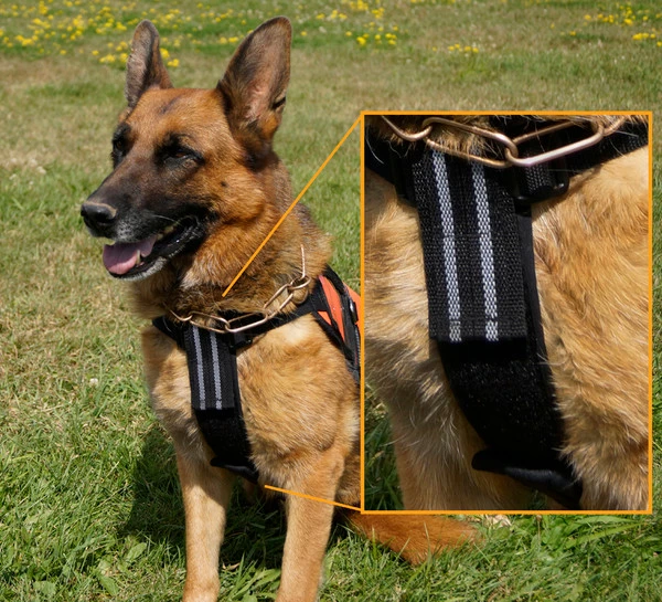 Chest To Girth Strap Support - Image 5