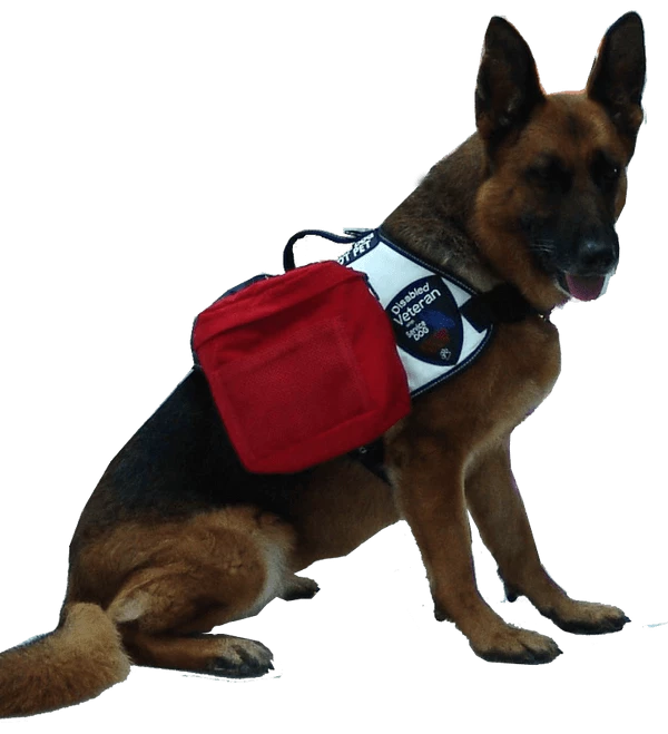 Patriotic Tri Pack Service Dog Vest - Image 21