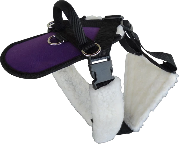 Service Dog Padded Pulling & Balance Harness - Image 17