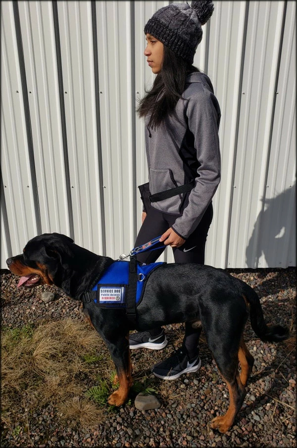 Padded Harness Vest With Window - Image 9