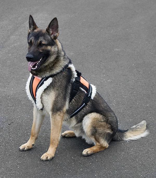 Search & Rescue Hi-Vis Tracking Harness - Image 10
