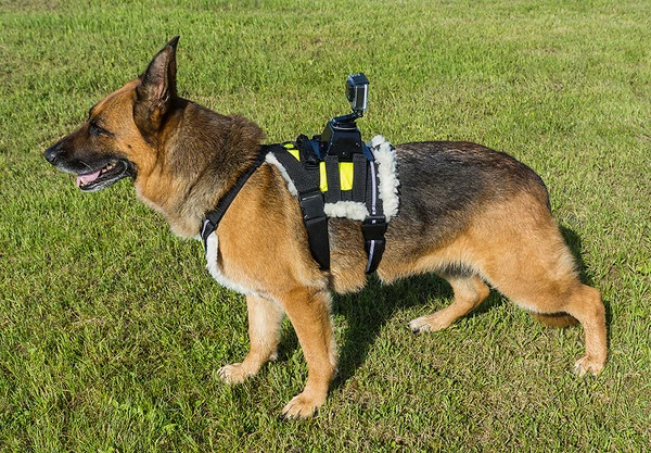 Search & Rescue Hi-Vis Tracking Harness - Image 3