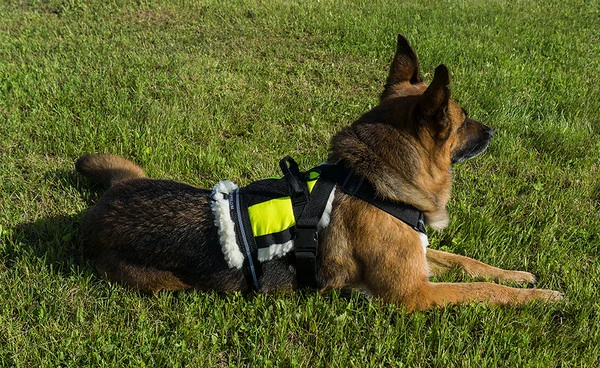 Search & Rescue Hi-Vis Tracking Harness - Image 5