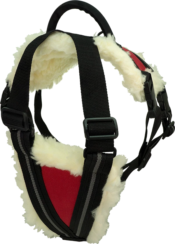 Wheelchair Pulling Harness - Image 4