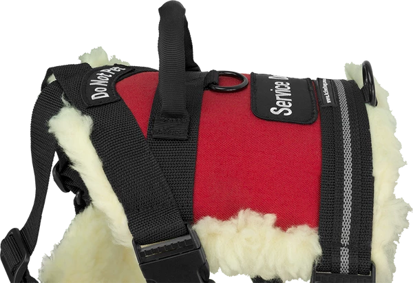 Wheelchair Pulling Harness - Image 5