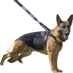 Personalized Step-in Service Dog Harness & Leash