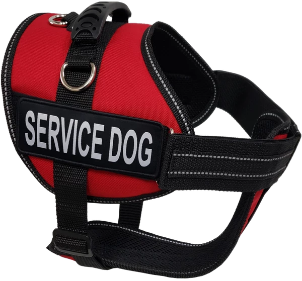 Service Dog Starter Kit - Padded Air-Tech Service Dog Harness Vest + Clip-on Bridge Handle & More - Image 6