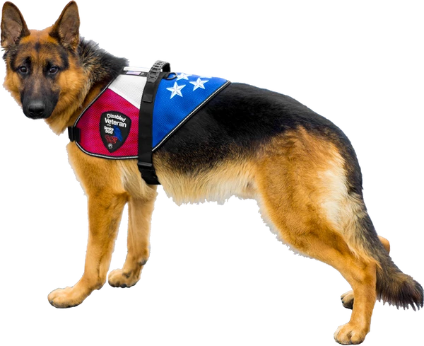 Patriotic Mesh Service Dog Vest - Image 3
