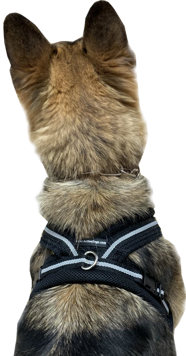 Padded Easy Walk Harness No Pull Dog Vest- Black Reflective Spacer Mesh - Image 6