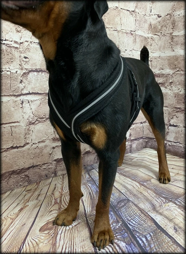 Padded Easy Walk Harness No Pull Dog Vest- Black Reflective Spacer Mesh - Image 8