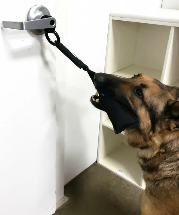 5pk Accessory O-Ring For Open Task Training Carabiner - Image 7