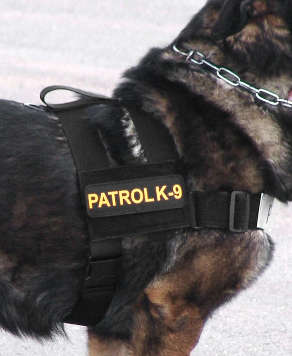 Nylon Patrol Harness - Image 7
